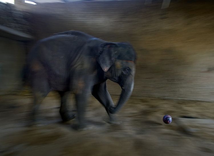 Удивительная сказочная Индия: 50 фото